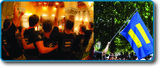 American Government, Delivering Collective Action: Formal Institutions, The Courts, Introduction