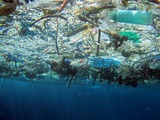 Garbage Island: Kindergarten STEM Project