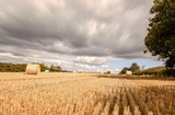 9-Week Middle School Agricultural Education Curriculum