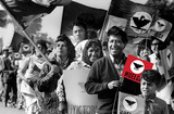 Cesar Chavez, Dolores Huerta & La Causa:  The 1960s Movement for Farmworker Dignity: MULTIMEDIA ANTHOLOGY-The Own Your History® Collection