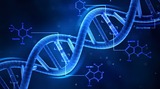 12.2 Mendelian Genetics (dominance / recessive traits)