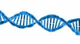 BIO 181 (General Biology I) OER Canvas Course