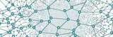 ECN 211: Principles of Macroeconomics