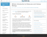 BIO101: Introduction to Molecular and Cellular Biology