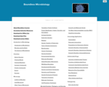 Boundless Microbiology