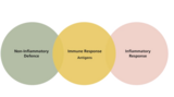 Bacteria and Chronic Infections -  Chronic Infections - Host Response Part 1 (07:30)