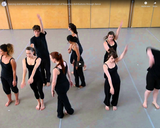 Dancing statistics: explaining the statistical concept of frequency distribution through dance