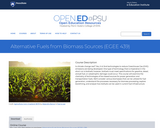 Alternative Fuels from Biomass Sources