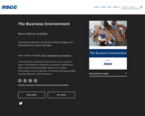 The Business Environment